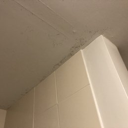 Mold on ceiling