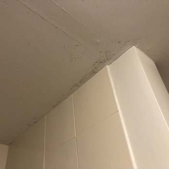 Holiday Inn Express - Mold on ceiling - Hotels Near Me - Utica, Michigan