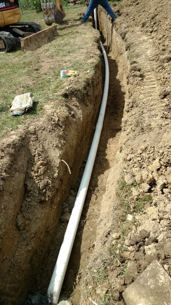 Slide of Honey Dippin Septic