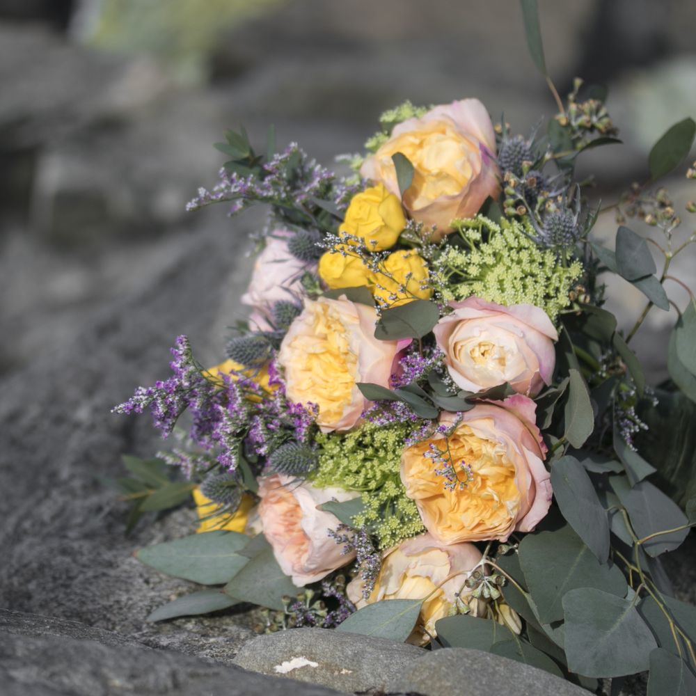 Flowers Sydney Mines Nova Scotia Best Flower Site