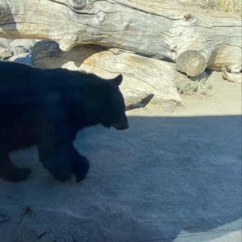 Animal Ark - Zoos Near Me - Reno, Nevada