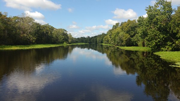 Blue Spring Adventures by null