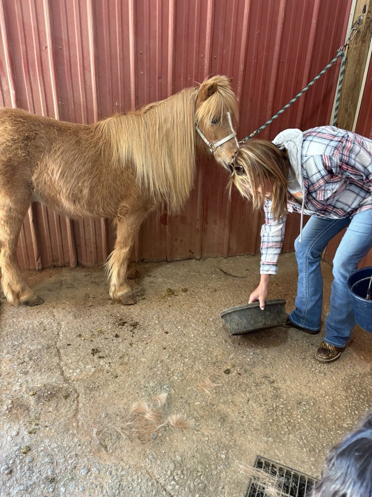 Sweet Stables - equestrian in Suwanee, GA