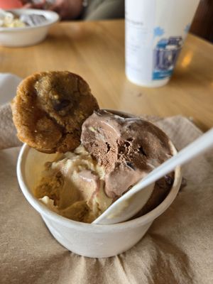 JoJo's Creamery by null