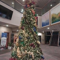 Trinity United Church of Christ - Trinity United Our Beautiful Christmas Tree in the Foyer of our Beautiful Church