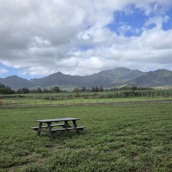 Sweet Land Farm - Cheese Shops Near Me - Waialua, Hawaii Sweet Land Farm - Cheese Shops Near Me - Waialua, Hawaii