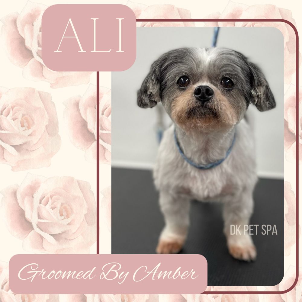 DK PET SPA MOBILE DOG GROOMING 49 Photos & 50 Reviews Queen Creek