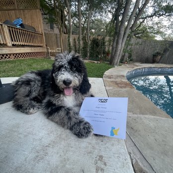 Pup Pup & Away - Pet Training Near Me - San Antonio, Texas Pup Pup & Away - Pet Training Near Me - San Antonio, Texas