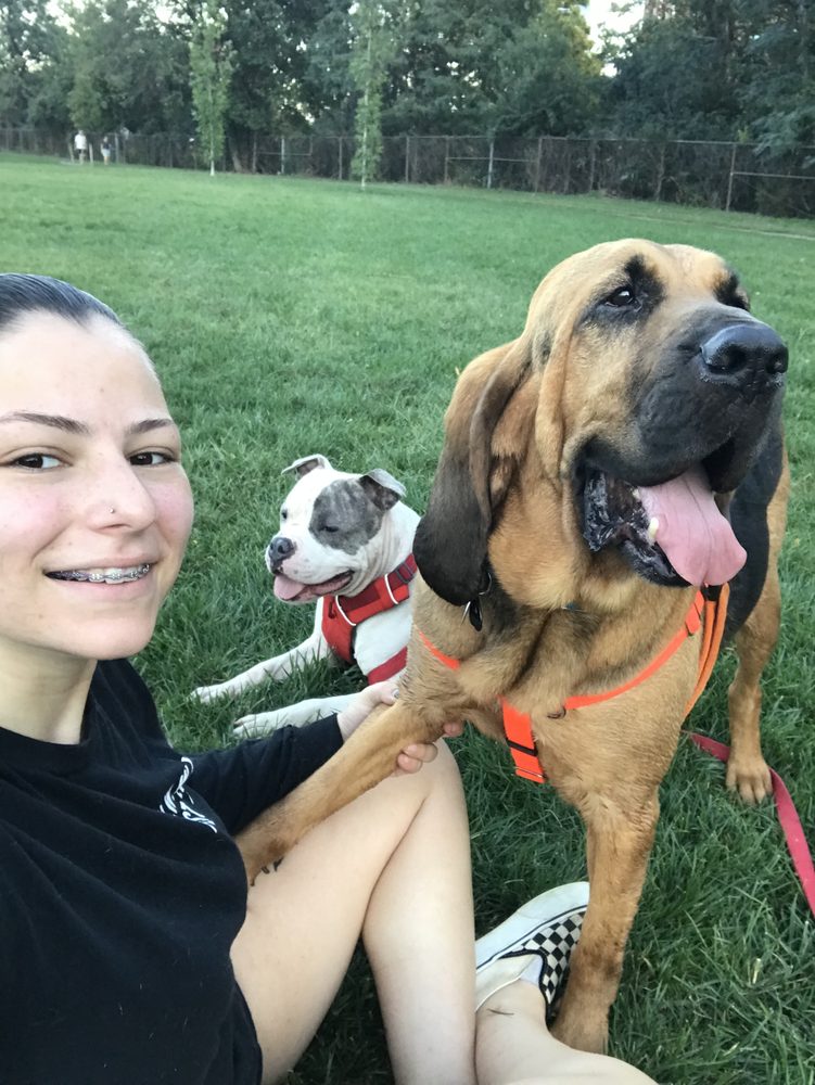 MIMI’S PET CARE Arlington, Virginia Pet Sitting Phone Number Yelp