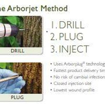 No Lawn Left Behind - Aborjet's Method to save your Ash tree! This is a safe, tested procedure that has shown to be 99.9% effective at controlling ... - Tree Services Near Me - Perry, Iowa No Lawn Left Behind - Aborjet's Method to save your Ash tree! This is a safe, tested procedure that has shown to be 99.9% effective at controlling ... - Tree Services Near Me - Perry, Iowa