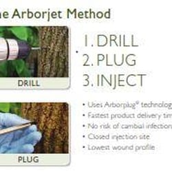 No Lawn Left Behind - Aborjet's Method to save your Ash tree! This is a safe, tested procedure that has shown to be 99.9% effective at controlling ...