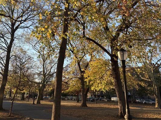 Herbert Von King Park by null