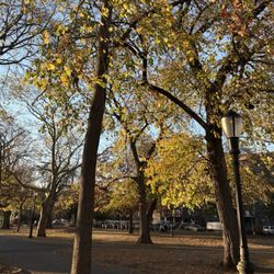 Herbert Von King Park