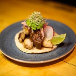 Pork belly taco