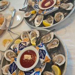 Oysters Oysters