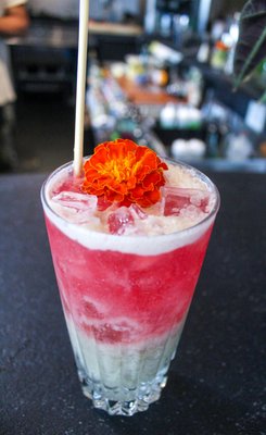 Wildcrafters Booze-Free & Kava Bar by null