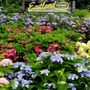 Photo of Eastland Farms