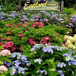 Eastland Farms - "Eastland Farms" Your premier destination in the Hamptons!