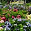 Eastland Farms gift card
