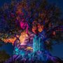 Photo of Tree of Life
