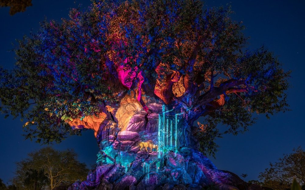 Tree of Life Logo
