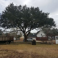 Bob Ross Tree Service
