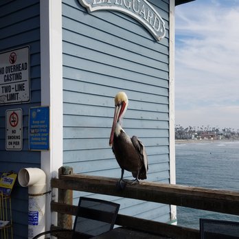 Oceanside Pier - Venues & Event Spaces Near Me - Oceanside, California Oceanside Pier - Venues & Event Spaces Near Me - Oceanside, California