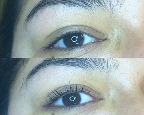 Lash Lifts - Please visit our website to book your lash lifts and tints!