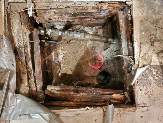 A 49.95 Any Sewer or Drain Logo