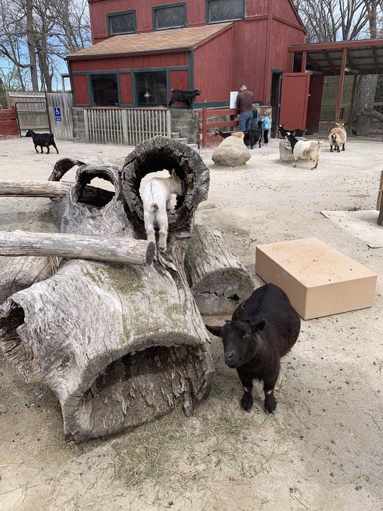 Scovill Children's Zoo, Decatur Roadtrippers