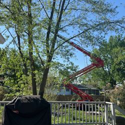 Larry's Lawn Service - The crane