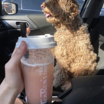 Ten Ren Tea - Strawberry Yogurt Green Tea - Bubble Tea Near Me - Cupertino, California Ten Ren Tea - Strawberry Yogurt Green Tea - Bubble Tea Near Me - Cupertino, California
