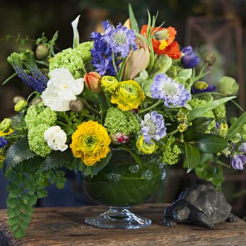 Morning Sun Florist - Fine Floral Arrangements - Florists Near Me - Dayton, Ohio Morning Sun Florist - Fine Floral Arrangements - Florists Near Me - Dayton, Ohio