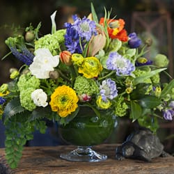 Morning Sun Florist - Fine Floral Arrangements