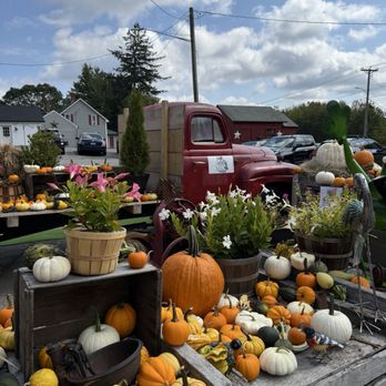 Hogan's Cider Mill - 9.13.2025 - An outdoor display features a variety of pumpkins, gourds, and fall flowers arranged around an old red truck. The pumpkins are in different sizes and colors, including white, orange, and green. Potted plants with pink and white flowers are also part of the display. The background shows a partly cloudy sky, utility poles, and residential buildings, indicating a rural or small-town setting. - Venues & Event Spaces Near Me - Burlington, Connecticut