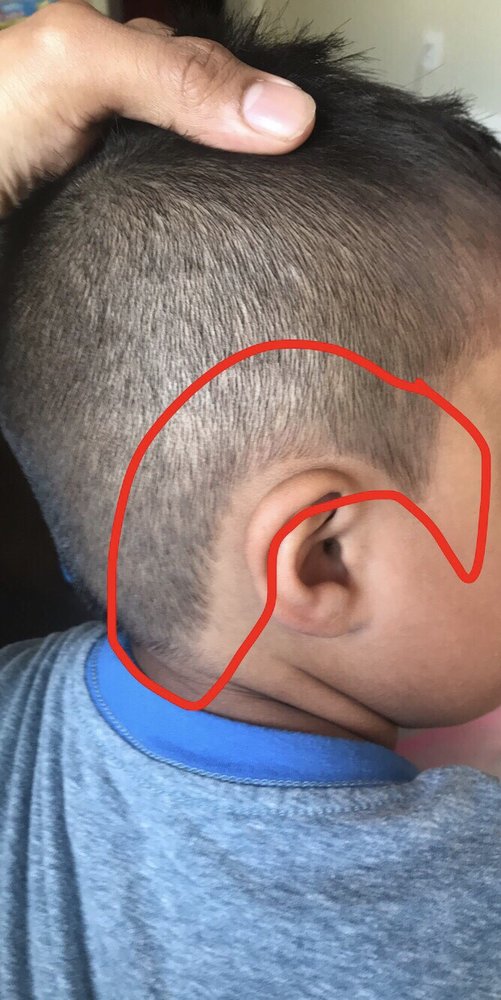 Bad Haircut Yelp