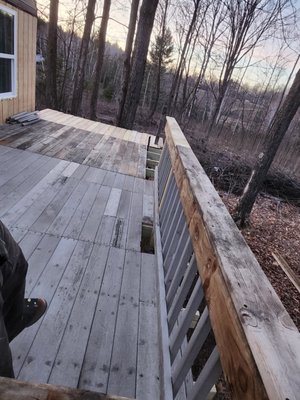 Professional Performance