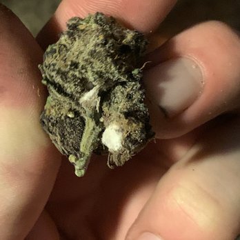 Cannabis Nation-Gresham - Some funky junky in the flower. - Cannabis Dispensaries Near Me - Gresham, Oregon