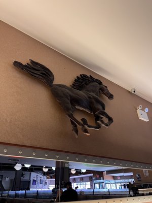 Dallas BBQ Rego Park by null