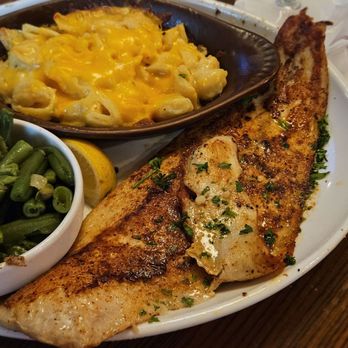 Dons Seafood - Lafayette - Grilled redfish with adult Mac and cheese and green beans - Seafood Near Me - Lafayette, Louisiana