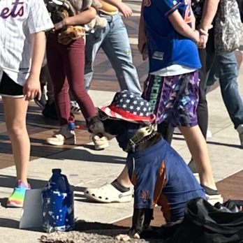 Citi Field - Stadiums & Arenas Near Me - Corona, New York