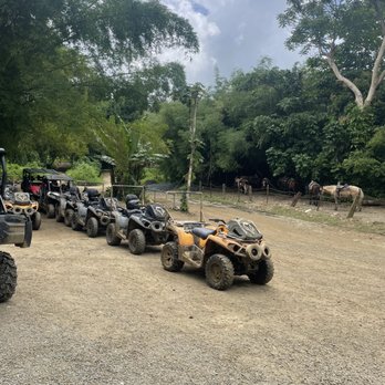 Carabali Rainforest Park - Horseback Riding Near Me - Luquillo, Puerto Rico