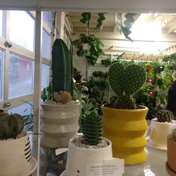 Arium Botanicals - Look at that adorbs cactus heart and lovely pots! - Nurseries & Gardening Near Me - PORTLAND, Oregon Arium Botanicals - Look at that adorbs cactus heart and lovely pots! - Nurseries & Gardening Near Me - PORTLAND, Oregon