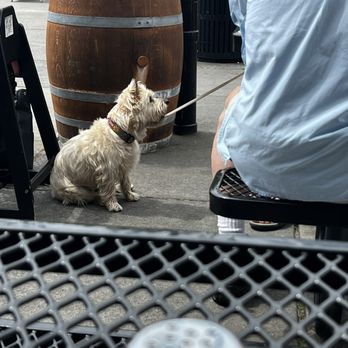 District Brewing - Doggo - Pizza Near Me - Mount Vernon, Washington District Brewing - Doggo - Pizza Near Me - Mount Vernon, Washington
