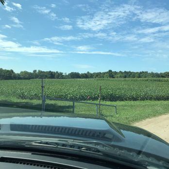 Jazz Blueberry Farm - Blueberry farm - Pick Your Own Farms Near Me - Shelby, Michigan