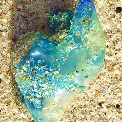 Millenium Beach Park - You wish Jellyfish.