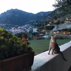 Holiday House Gilda di Cavaliere Daniela - cats love it here