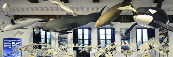 Casa de la Ciencia by null