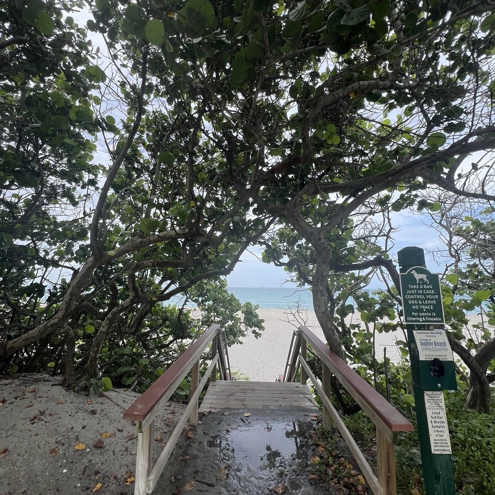 Jupiter Beach - Beaches Near Me Jupiter Beach - Beaches Near Me