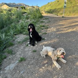 Ferguson Park